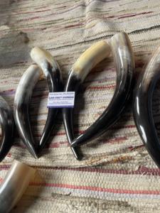 Paire de cornes de bison polies, décoration murale, design Art Déco, grande taille de 10 à 18 pouces, pour mariage, anniversaire - Product Image 5