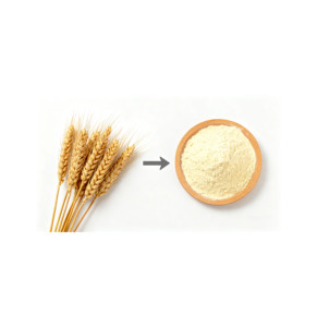Service OEM, Qualité Supérieure, Vente en Gros, Gluten de Blé de Qualité Alimentaire, Prêt à Expédier, Fourniture en Vrac de Qualité Supérieure pour l'Exportation - Product Image 6