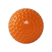 Pelotas de Hockey Mini Flexibles de Espuma Suave y Plástico Resistente First Athletics FA-SR-HB-001, Logotipo/Color Personalizado, Juegos al Aire Libre, Partidos