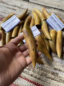 Cuerno de Búfalo Natural Ecológico, Pulido, con Punta Quemada, Rústico, para el Año Nuevo Chino, de Alta Calidad - Product Image 3