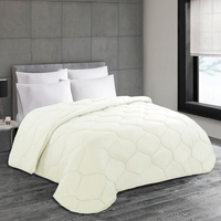 Couette matelassée bleu clair, couleur unie, style moderne, 100% polyester, lavable, ensemble de literie 4 pièces, 300 fils, usage domestique