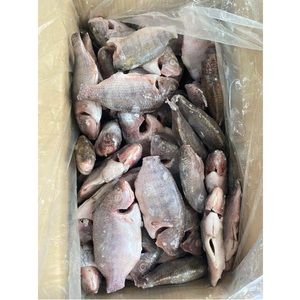 Tilapia entière vietnamienne à faible teneur en sel, surgelée IQF, de qualité commerciale, scellée sous vide, sans additifs, pour l'exportation en gros - Product Image 6