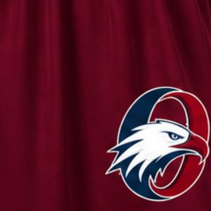 Jupe de cheerleading bordeaux plissée, jupe d'uniforme athlétique avec bordure rayée, tenue de performance d'équipe, vêtements de sport personnalisés - Product Image 2