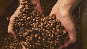 Wholesale Vietnam Organic Arabica <b>Coffee</b> <b>Beans</b> S16, Foreign Matter 0.1%, Premium Grade, USDA & ISO 22000 Certified - Product Image 6