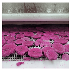 Fruta del Dragón Roja Congelada IQF hecha con trozos naturales de fruta del dragón para preparar batidos, como adorno para postres, origen Vietnam. - Product Image 4