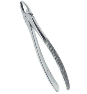 ARISTON INTERNATIONAL Forceps d'extraction dentaire manuels en acier inoxydable de haute qualité, forceps d'extraction pédiatriques Cowhorn CE - Product Image 5