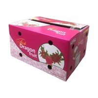 ANT FARM OEM Model 3 Vouwbare Golfkarton Industrieel Gebruik Offsetdruk Rechthoekige Vorm Dragon Fruit Opslag Gerecycled