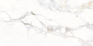 Azulejos de Cerámica Modernos con Acabado Pulido Modelo 1493-L 300x600mm para Gimnasio, Baño, Exteriores y Pasillos - Product Image 3