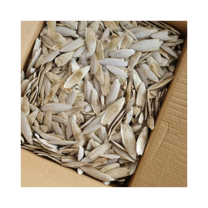กระดูกปลาหมึกสีขาวธรรมชาติสำหรับนกบัดจี นกค็อกคาเทล และอาหารนกแก้ว - Product Image 3