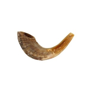 Grand Chifret de Corne de Bœuf Gonflable de Haute Qualité, Instrument à Vent Acoustique pour Événements Culturels, Acheteur en Gros, Commerce de Gros - Product Image 1