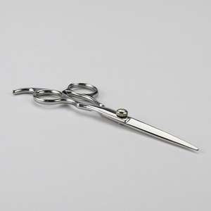 Ciseaux professionnels à effiler les cheveux en acier inoxydable de 6 pouces avec design à dents plates pour salon et usage domestique - Product Image 5