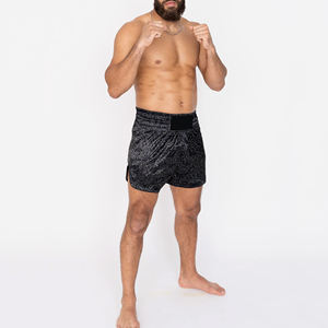 Pantalones Cortos de Muay Thai para Entrenamiento de Boxeo, Precio de Fábrica, Talla Personalizada, Precio Razonable, Secado Rápido - Product Image 4