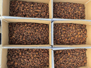Anís estrellado seco de Vietnam, crudo, sin OMG, Lang Son, 10 kg, suministro a granel, calidad de exportación, precio de fábrica, servicio OEM, el mejor - Product Image 5