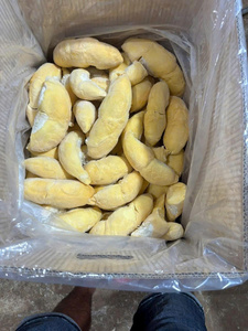 Durian surgelé du Vietnam, fruit tropical naturel de qualité supérieure, export en gros, approvisionnement en vrac pour la restauration - Product Image 6