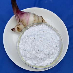 Poudre d'amidon d'arrowroot biologique de qualité supérieure, goût naturel, pour aliments et ingrédients, emballée en sachet, provenant du Vietnam - Product Image 1