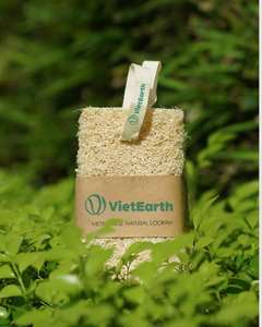 Éponge de luffa naturelle écologique, éponge de luffa naturelle exfoliante biologique de haute qualité - Product Image 4