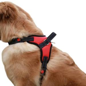 Ensemble de harnais pour chien, style classique en nylon, accessoires pour animaux de compagnie en maille, provenant d'un fournisseur vietnamien avec motif personnalisé - Product Image 3