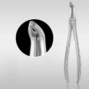 BAFA SURGICAL INSTRUMENTS Juego de 10 Piezas de Fórceps Dentales Manuales de Acero Inoxidable para Extracción, para Adultos y Niños, Certificado CE Clase II - Product Image 5