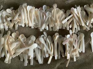 Seashell Spoon Exquisite Nacre Shell Parfait pour servir des condiments et des bonbons Vietnam Made - Product Image 4