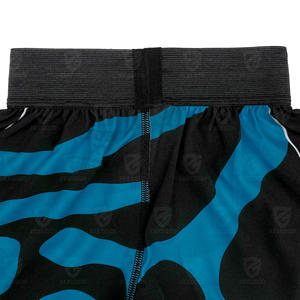 Nouvelle Tendance Vente en Gros Shorts de Boxe Tendance Entraînement Muay Thai Short de Boxe Anti-taches MMA Shorts Muay Thai Enfants Shorts Muay Thai - Product Image 5