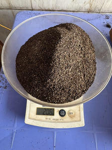 Pimienta Negra Vietnamita Pinhead de Alta Calidad, Binh Phuoc, 50 kg, 2 Años de Duración, Gran Cantidad, Venta al por Mayor, Calidad de Exportación, Ms. Sophie - Product Image 3