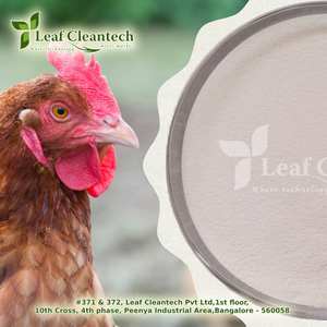 Poultry Feed Cocktail <b>Enzyme</b> High-Grade <b>Enzymes</b> for Animal Feed - Versatile Solutions From Bangalore, Karnataka, India - Product Image 3