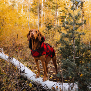 Good Quality Fleece Material Made Pet Clothing Outerwear Fleece Coats & Jackets Best Selling Design Your Own Style Winter Coat - Product Image 6