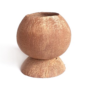 Mini pots à fleurs en coquille de noix de coco, pots à plantes en coco, décoration de jardin inspirée de la nature - Product Image 2