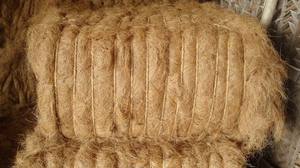 Fibra de Coco Natural Premium para Relleno de Colchones y Fabricación de Cojines - Product Image 3