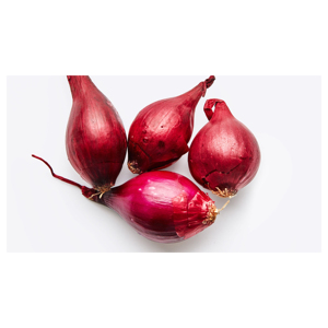Cebolla roja fresca egipcia de alta calidad al mejor precio - Product Image 6