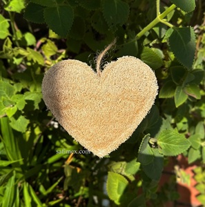 SAFIMEX tampons de luffa naturels éponge épurateur ficelle pour le bain et la cuisine qualité supérieure de la ferme du Vietnam paquets OEM - Product Image 3