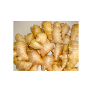 ผงขิงแห้ง คุณภาพพรีเมียม เกรดส่งออก ธรรมชาติ จำหน่ายส่ง - Product Image 2