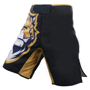 Shorts de Muay Thai para Hombre de la Mejor Calidad, Elegantes, 100% Poliéster, Coloridos, para Entrenamiento, Servicio OEM - Product Image 3