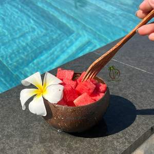 Bol en Coque de Noix de Coco Durable 13-14cm avec Cuillère en Bois – 100% Naturel, Zéro Déchet, Sans Plastique – Vaisselle / Prix Usine en Gros - Product Image 4