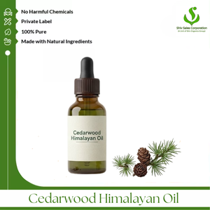 Fournisseur d'huile de cèdre de l'Himalaya, proposant des huiles essentielles de qualité supérieure pour les cosmétiques, les soins personnels, les parfums, les fragrances et l'aromathérapie - Product Image 1