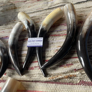 Paire de cornes de bison polies, décoration murale, design Art Déco, grande taille de 10 à 18 pouces, pour mariage, anniversaire - Product Image 1