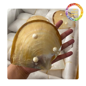 จานเปลือกหอยมุกขัดเงา งานแฮนด์เมด สำหรับตกแต่งบ้านและเป็นของขวัญ - Product Image 2
