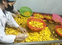 Techmifood Gedroogde Jackfruit Schijfjes Zoet Bulkverpakking Vacuüm Verzegeld Export Kwaliteit Vietnam 7kg 12 Maanden