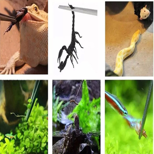 Pince d'alimentation droite de 10 pouces en acier inoxydable allemand poli pour terrarium, idéale pour les serpents - Product Image 6