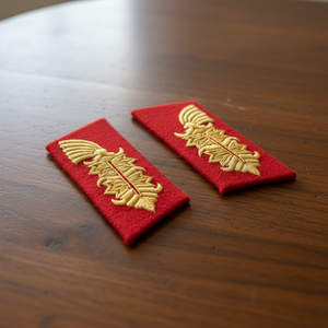 Écussons de col OEM avec bouton en laiton, vente en gros, patchs de col pour uniforme d'officier avec attaches à clips dorés en laiton - Product Image 3