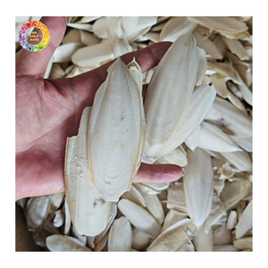 Hueso de Sepia Natural Premium para Alimentación Animal, Comida para Mascotas, Comida para Aves, Alimento para Acuicultura, Venta al Por Mayor, Proveedor de Vietnam - Product Image 5