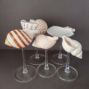 Copa de Vino de Concha de Abulón - Copa Iridiscente Estilo Sirena para Brindis de Boda en la Playa, Regalo Único para Damas de Honor, Elegante Plato para Adornos - Product Image 2