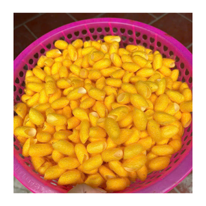 Natural Vietnamese Raw Silk Cocoon Dried Silkworm Cocoons Premium Mulberry Material for Silk Reeling and Textile Production - Product Image 2