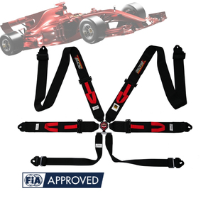 FIA Approved Racing Seat <b>Belt</b> OEM Supplier <b>Red</b> 6 Point Harness Steel Hardware for Professional Competition Car Safety - Product Image 2