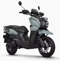 Wholesale Quality Electric Scooter Motorbike 48V Voltage Racing Motorbike for Adults