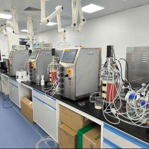 Le fermenteur de laboratoire bioréacteur en verre à paroi unique Bailun 3L garantit des résultats expérimentaux précis. - Product Image 5