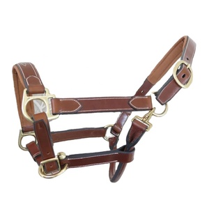 Ecuestre Inglés Sillín Caballo Ancho Acolchado Halter Cuero Accesorio Fabricación Precio - Product Image 2