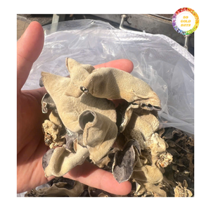 Ingrediente a Granel para Hongos de la Oído con Procesamiento Confiable y Precio Competitivo - Product Image 6