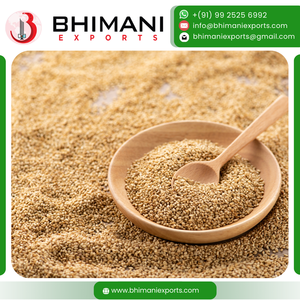 Semillas de Sésamo Blanco de Venta Caliente, Tamaño Uniforme, Alto Contenido de Aceite, Certificación FSSAI, Empaque a Granel para la Fabricación de Tahini y Pasta - Product Image 3