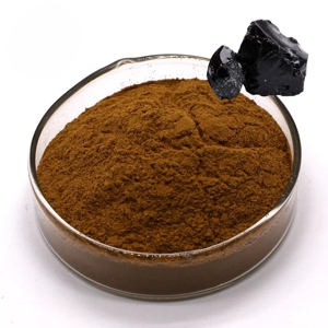 Premium Quality Shilajit Extract Powder Natural Himalayan Shilajit Extract Powder Supports Vitality and Mineral Nourishment - Product Image 3